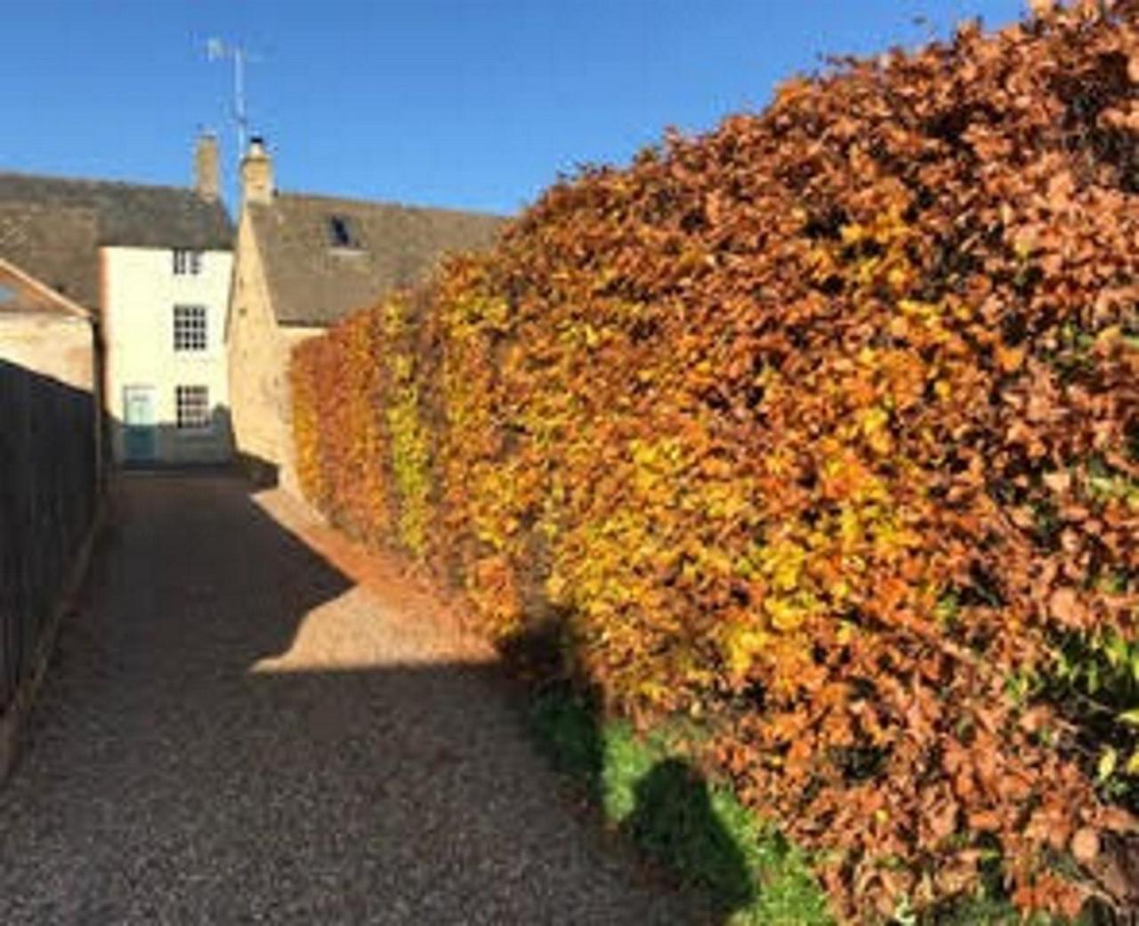 The Annexe Villa Chipping Campden Eksteriør billede